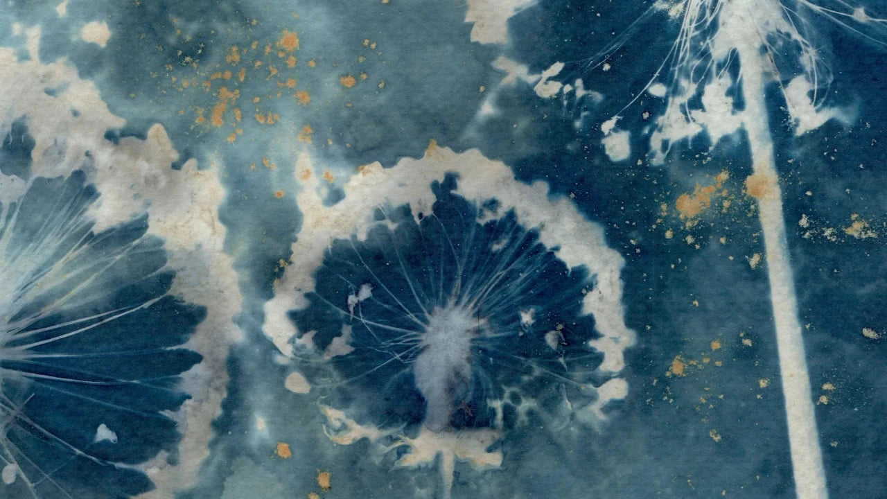 cyanotype blue print collage allium flowers detail