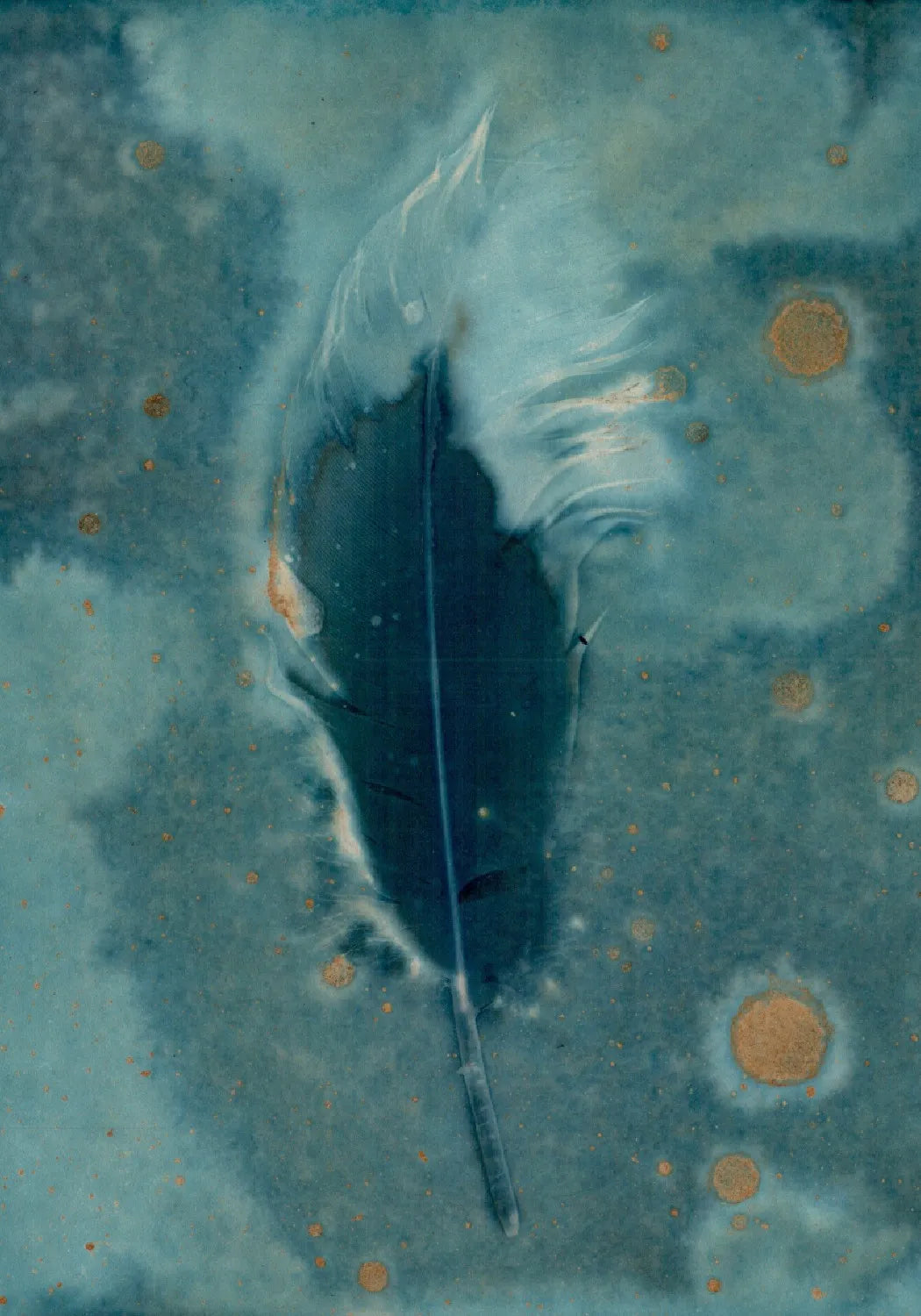 Maturing Nocturne No.22 - Wet Cyanotype Print