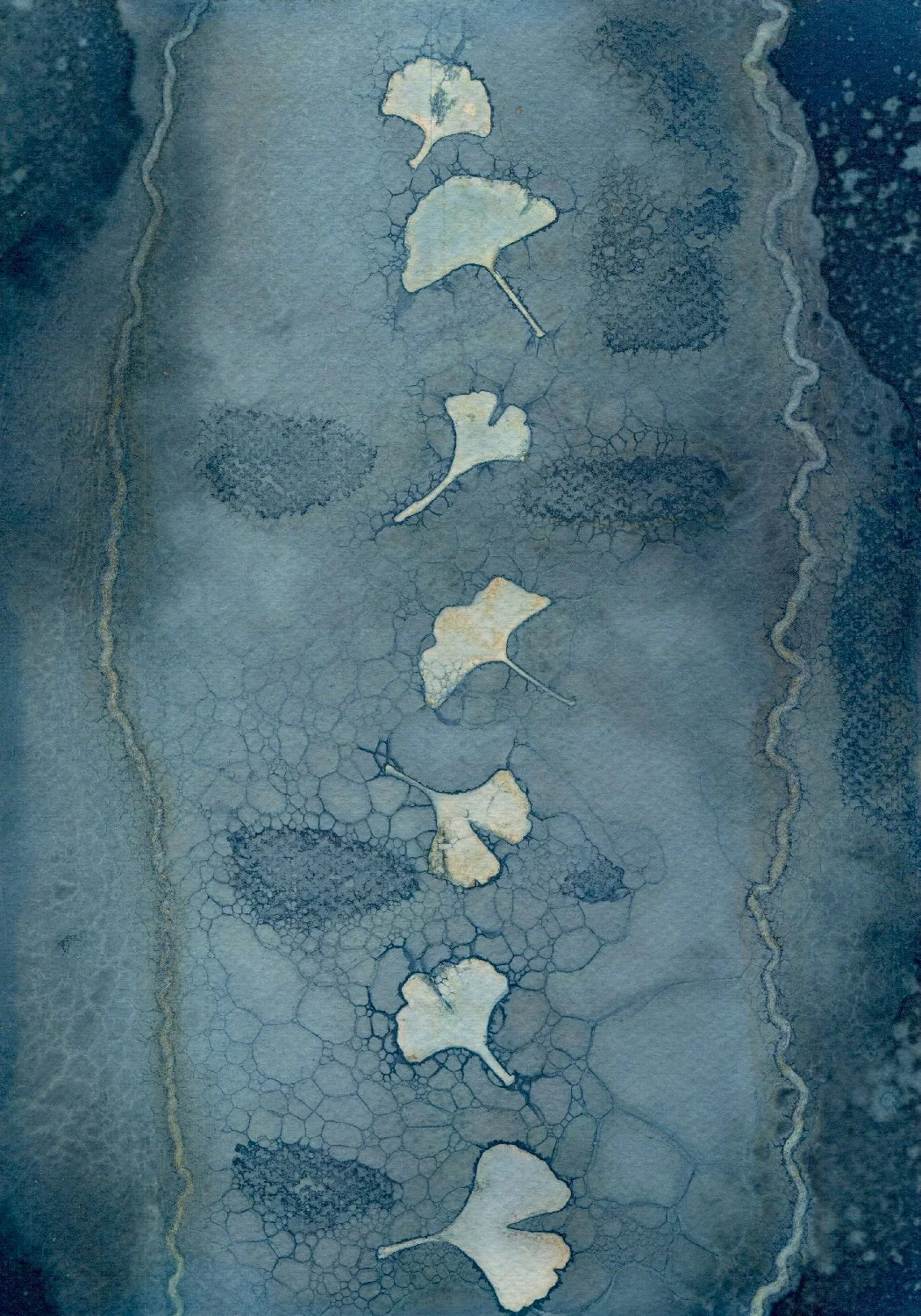 A4 wet cyanotype gingko abstract collage