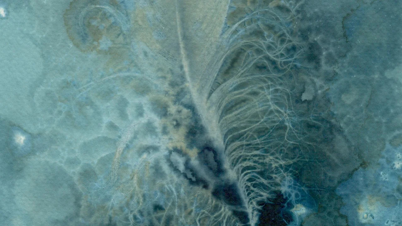 detail feather cyanotype art watercolour paper print