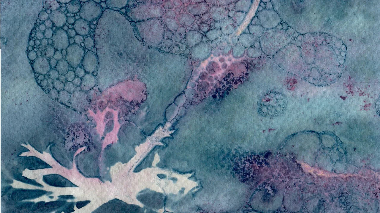 wet cyanotype watercolur paper A5 detail