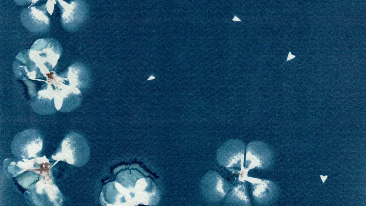 detail cyanotype flowers indigo cyan blue watercolour paper