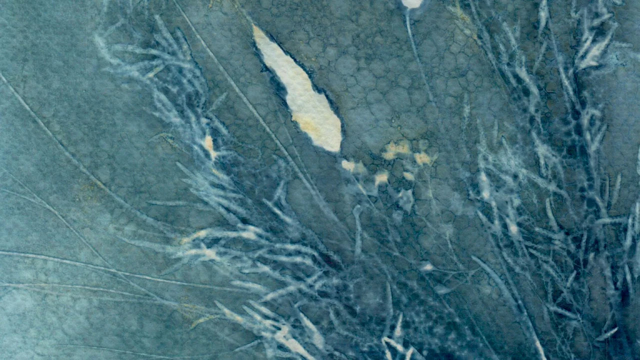 detail meadow wet cyanotype green blue watercolour paper
