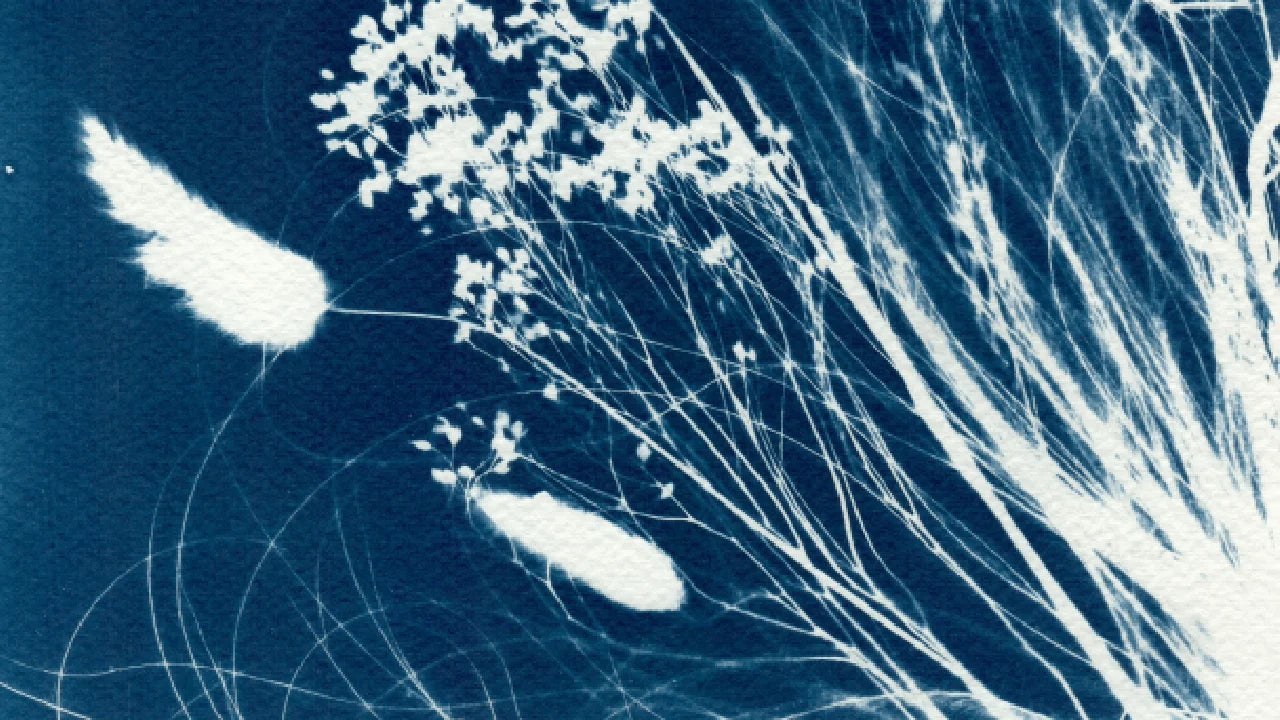 detail cyanotype meadow cyan blue watercolour paper