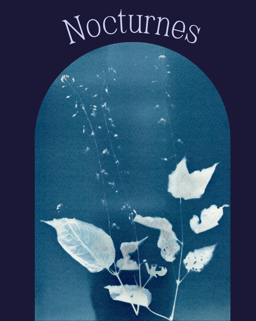 Nocturnes Cyanotype Prints