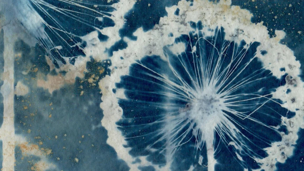 alliums diptych watercolour paper interior design ideas