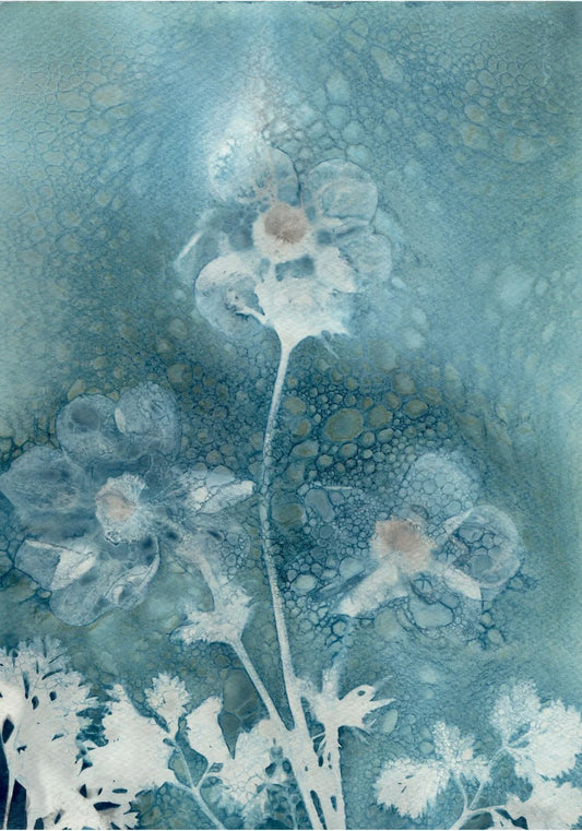 A4 floral wet cyanotype print watercolour paper blue turquoise