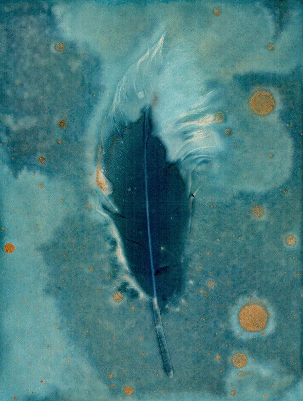 wet cyanotype feather A5 watercolour paper