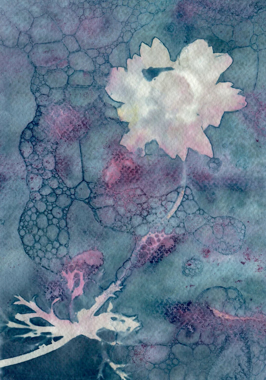 wet cyanotype floral pink blue watercolour paper A5