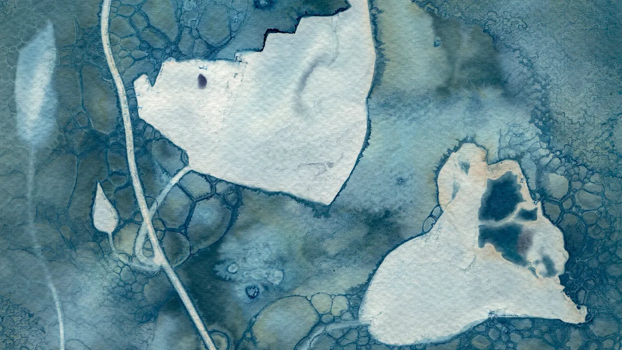 Maturing Nocturne No.72