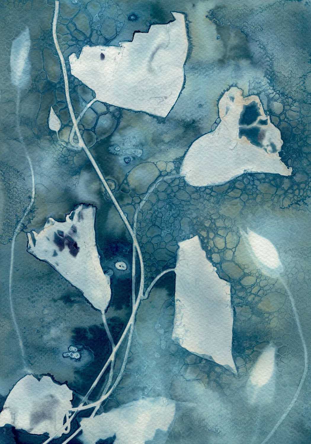 Maturing Nocturne No.72