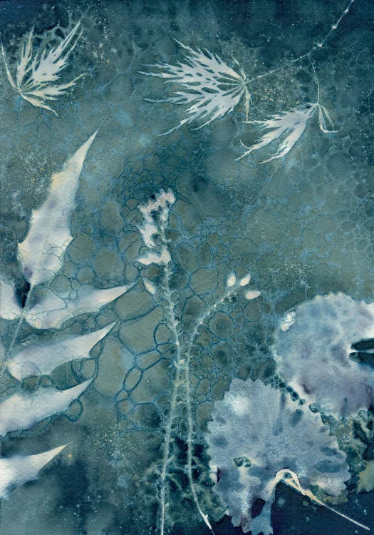 Maturing Nocturne No.25