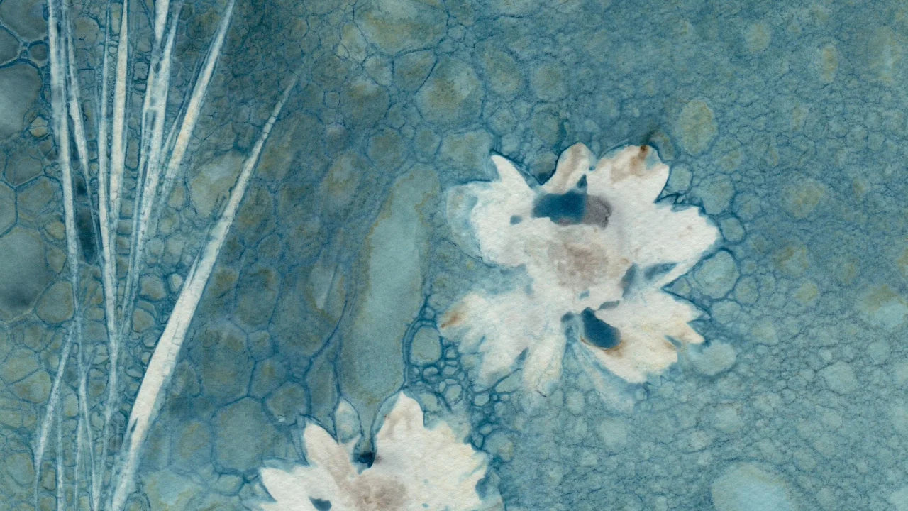 wet cyanotype floral turquoise blue daisy watercolor paper detail